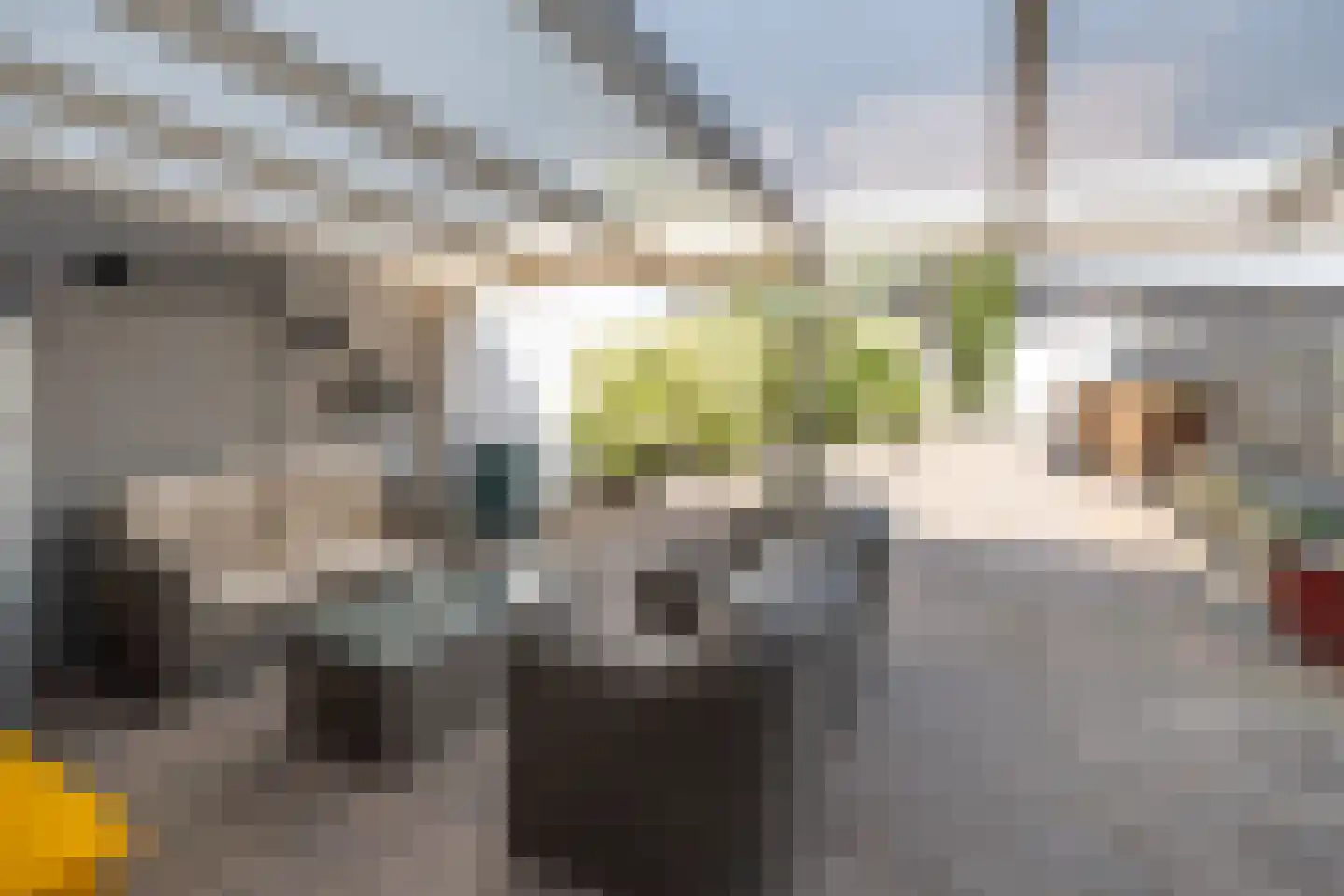 Korenbloemstraat 17 Barneveld thumbnail 28
