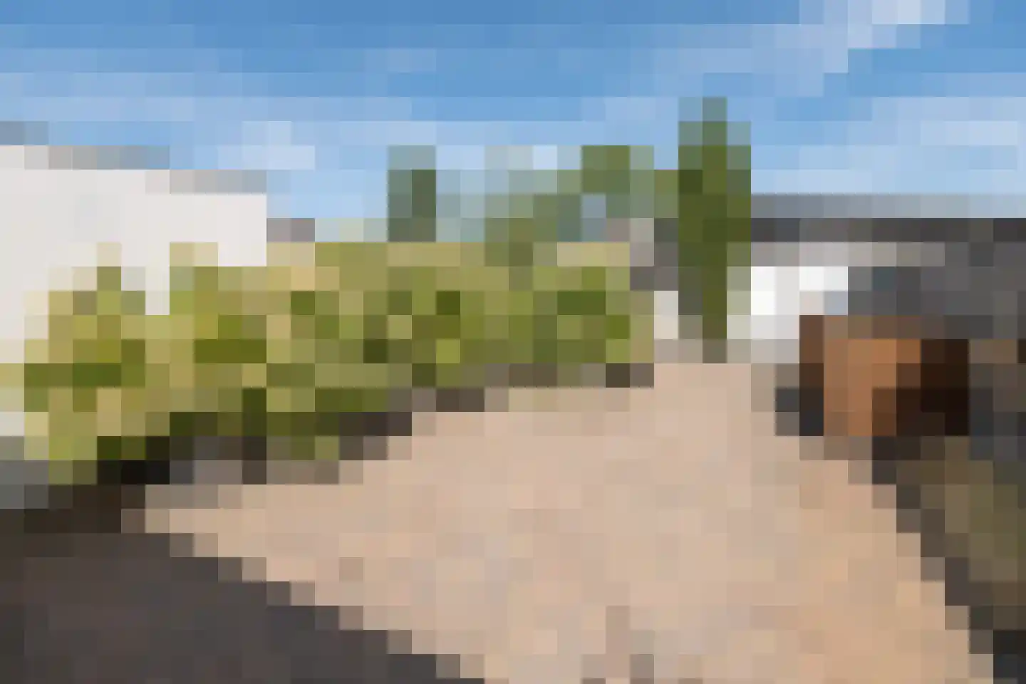 Korenbloemstraat 17 Barneveld thumbnail 31