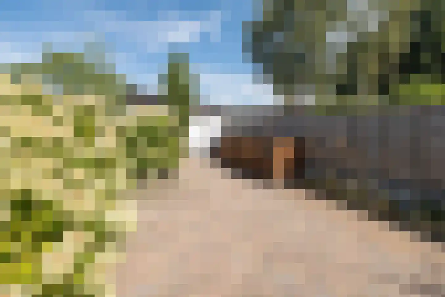 Korenbloemstraat 17 Barneveld thumbnail 35