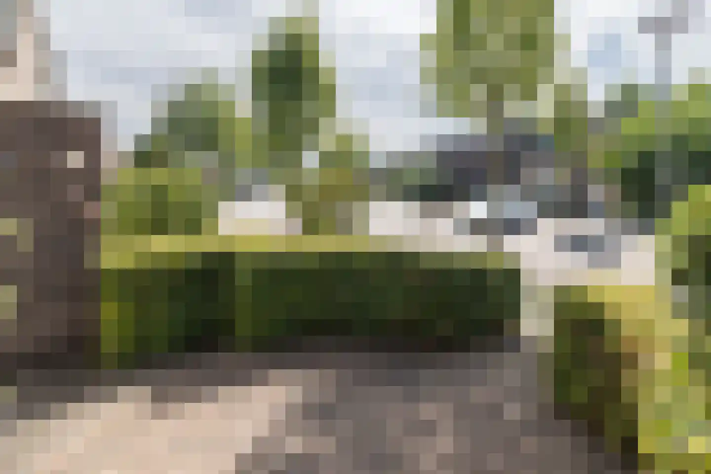 Korenbloemstraat 17 Barneveld thumbnail 41