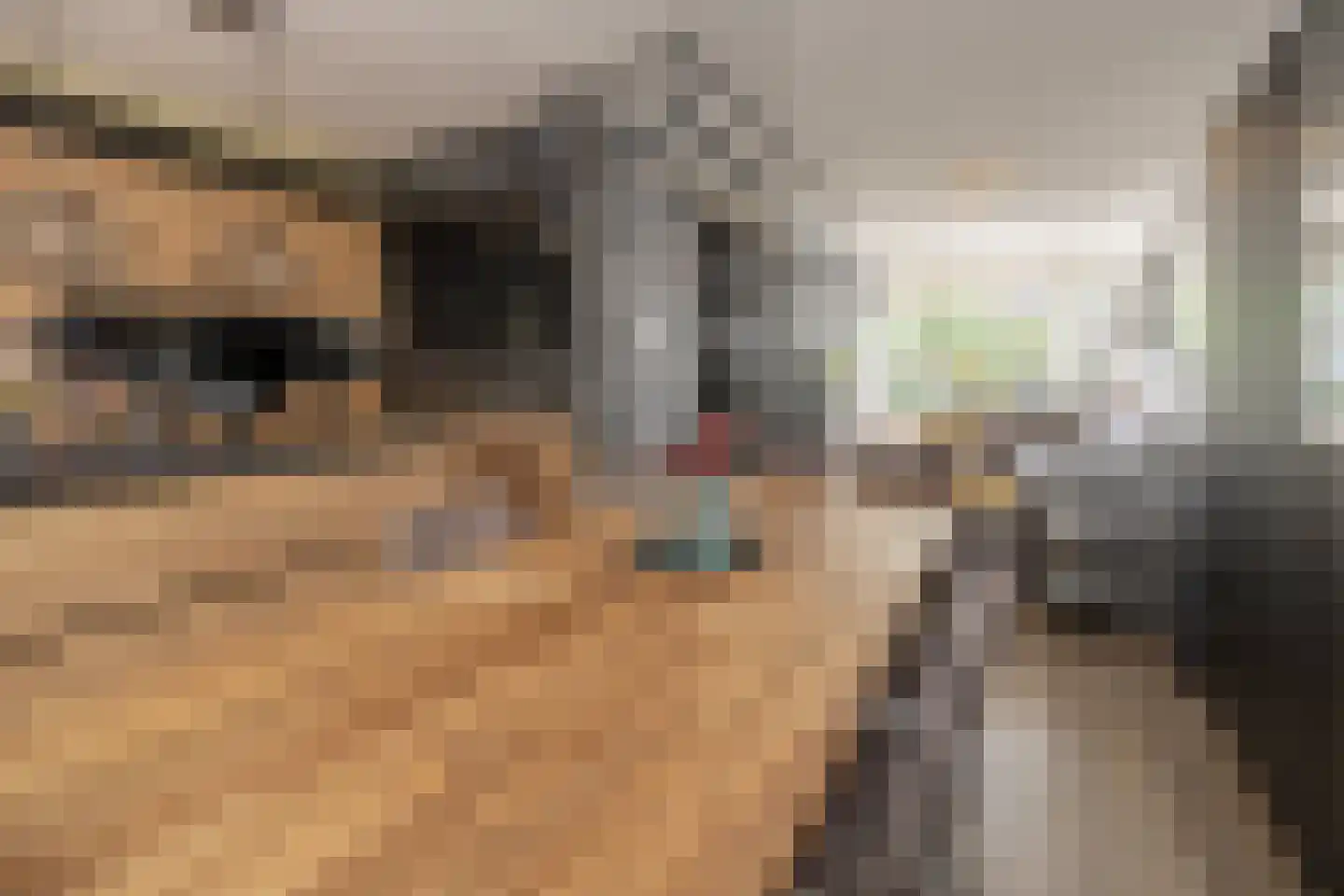 Korenbloemstraat 17 Barneveld thumbnail 7