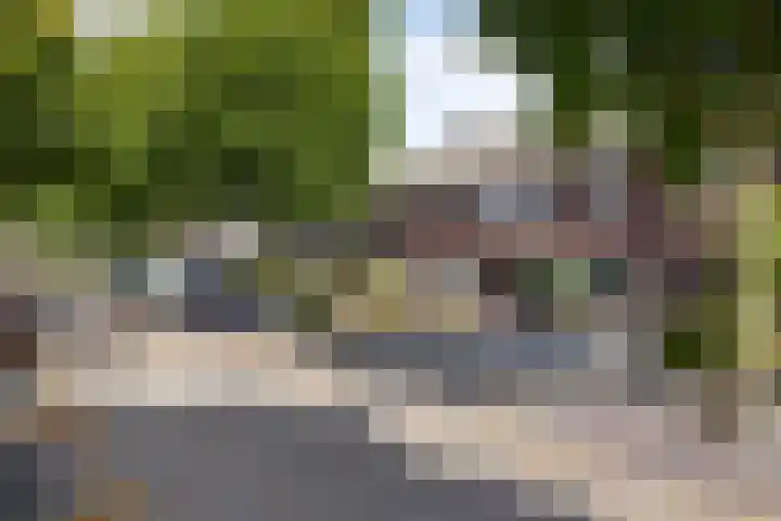 Korenbloemstraat 18 Helmond thumbnail 29