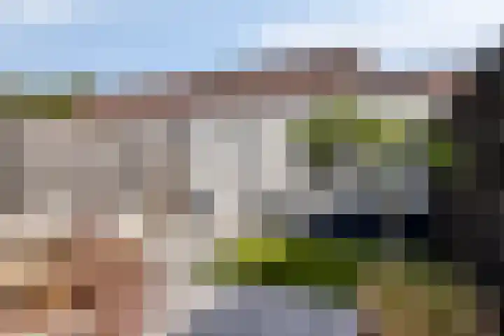 Korenbloemstraat 18 Helmond thumbnail 33