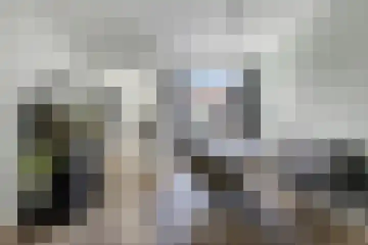 Korenbloemstraat 18 Helmond thumbnail 8