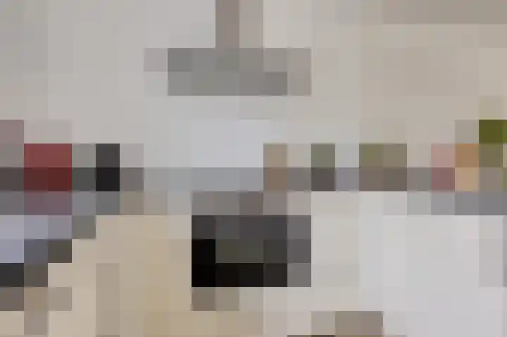 Korenbloemstraat 18 Maasbree thumbnail 11