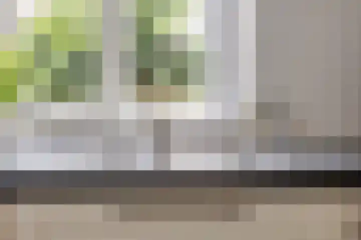 Korenbloemstraat 18 Maasbree thumbnail 12