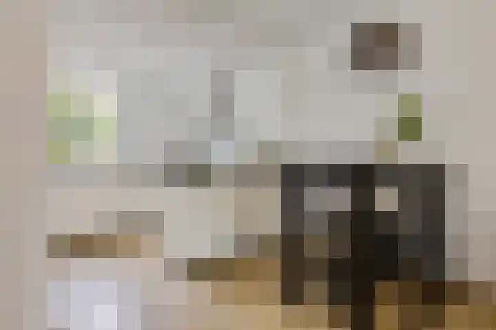 Korenbloemstraat 18 Maasbree thumbnail 14