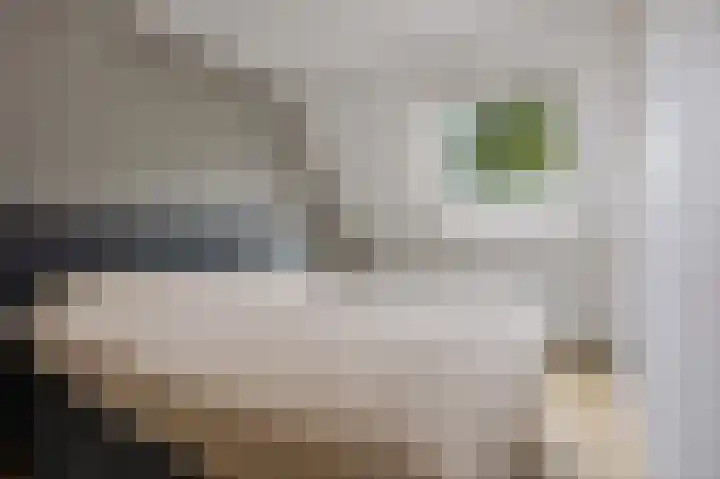 Korenbloemstraat 18 Maasbree thumbnail 22