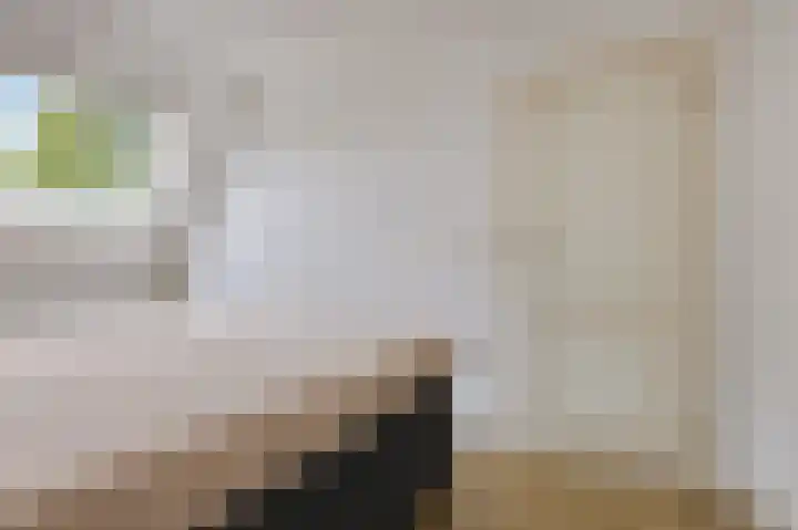 Korenbloemstraat 18 Maasbree thumbnail 23