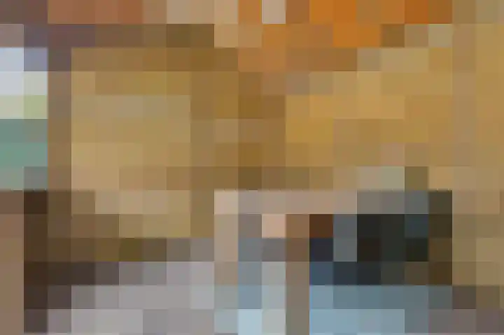 Korenbloemstraat 18 Maasbree thumbnail 39