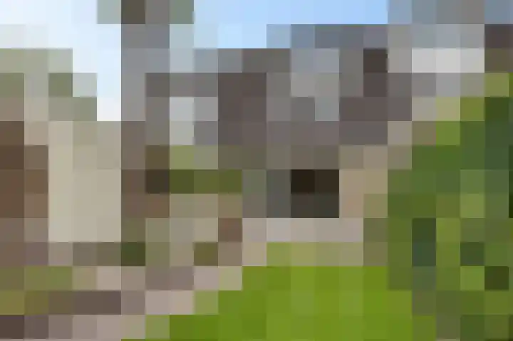 Korenbloemstraat 18 Maasbree thumbnail 4