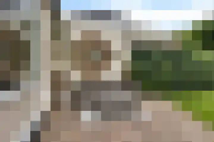 Korenbloemstraat 18 Maasbree thumbnail 41