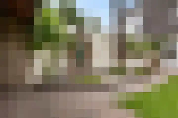 Korenbloemstraat 18 Maasbree thumbnail 43