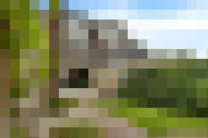 Korenbloemstraat 18 Maasbree thumbnail 44