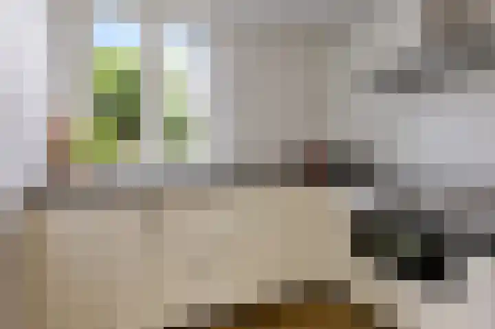 Korenbloemstraat 18 Maasbree thumbnail 7