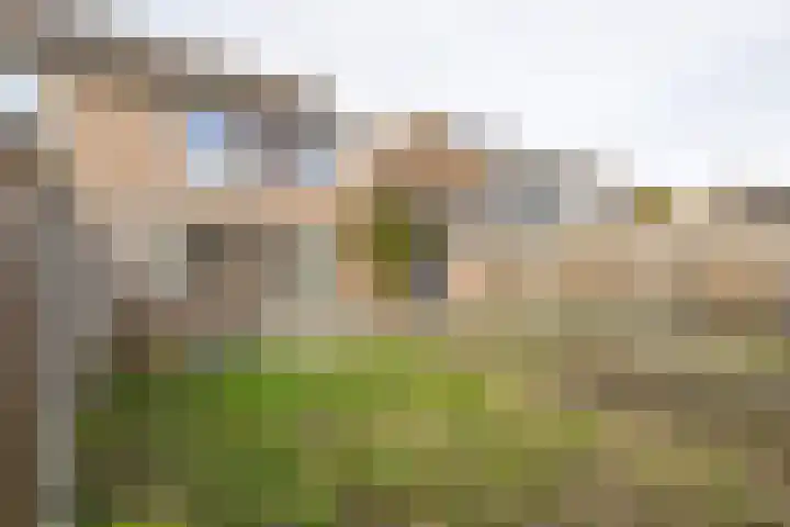 Korenbloemstraat 19 Eibergen thumbnail 22