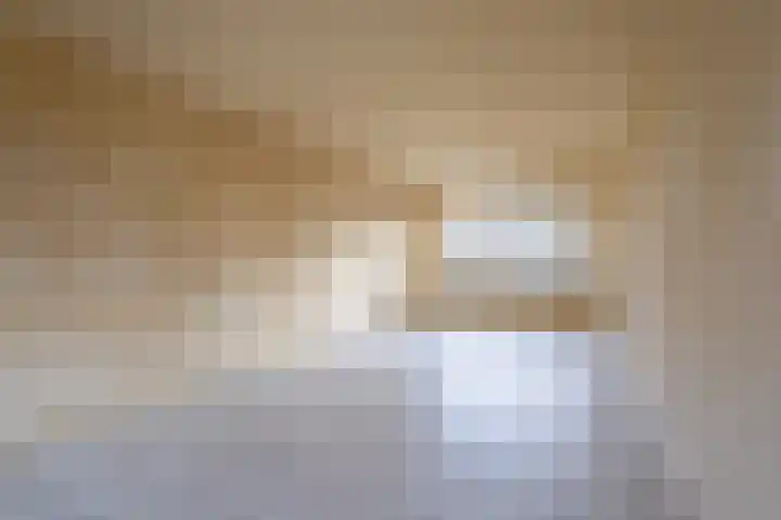 Korenbloemstraat 19 Eibergen thumbnail 6
