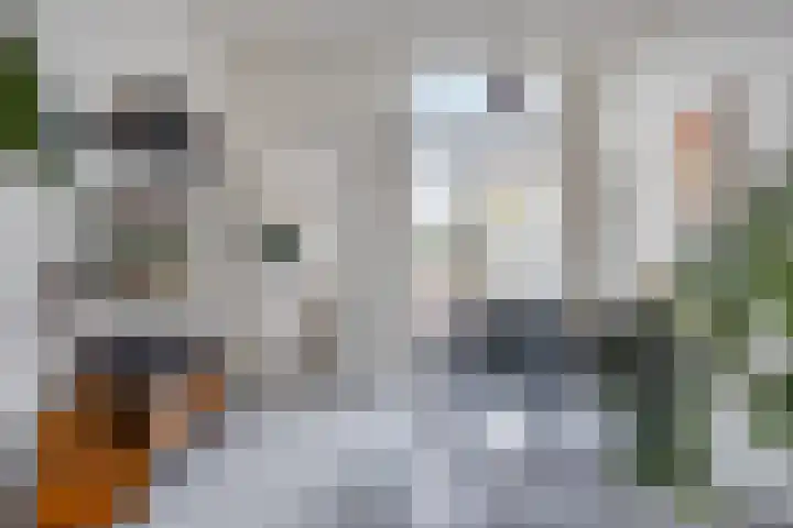 Korenbloemstraat 191 Tilburg thumbnail 5