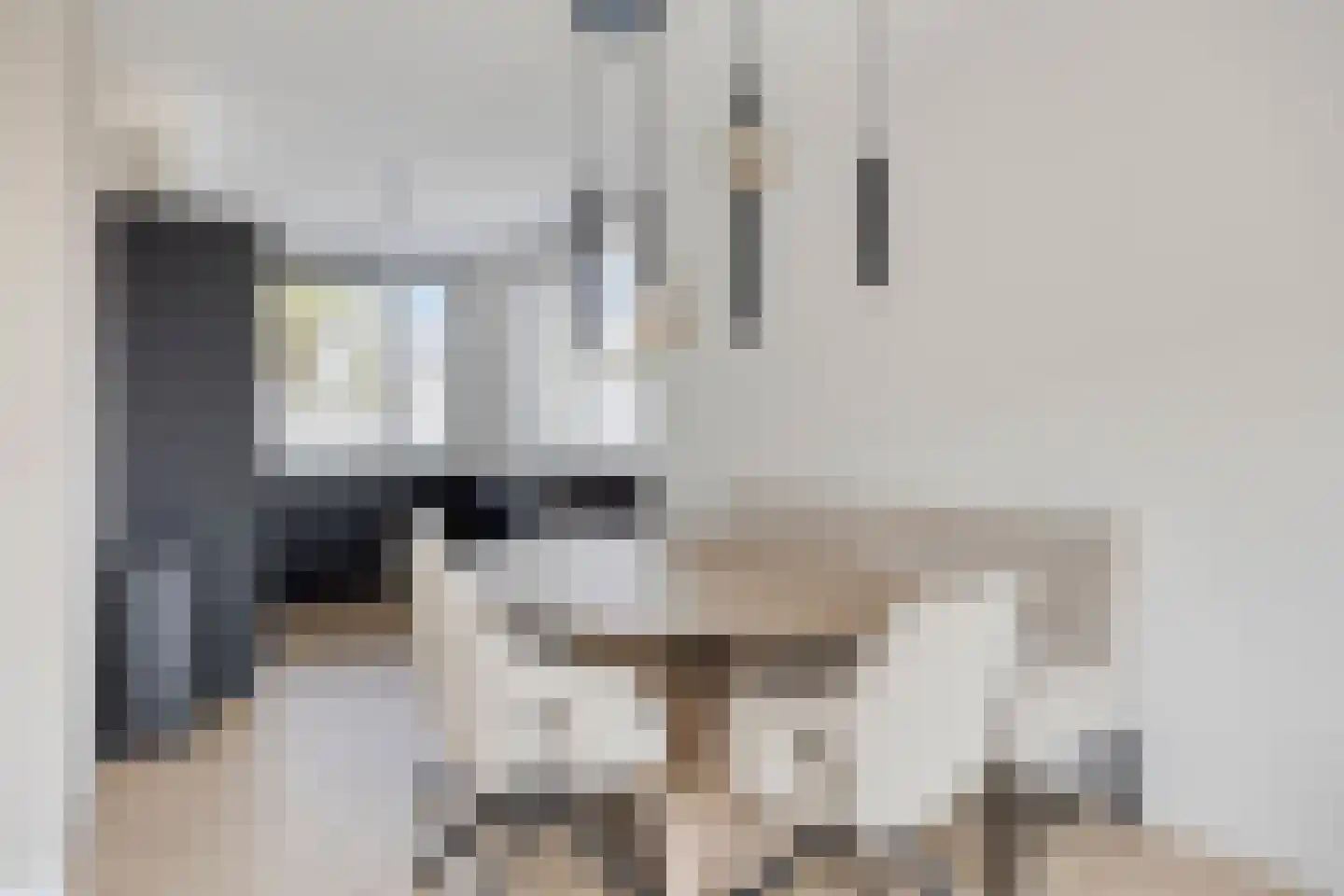 Korenbloemstraat 2 Goes thumbnail 10