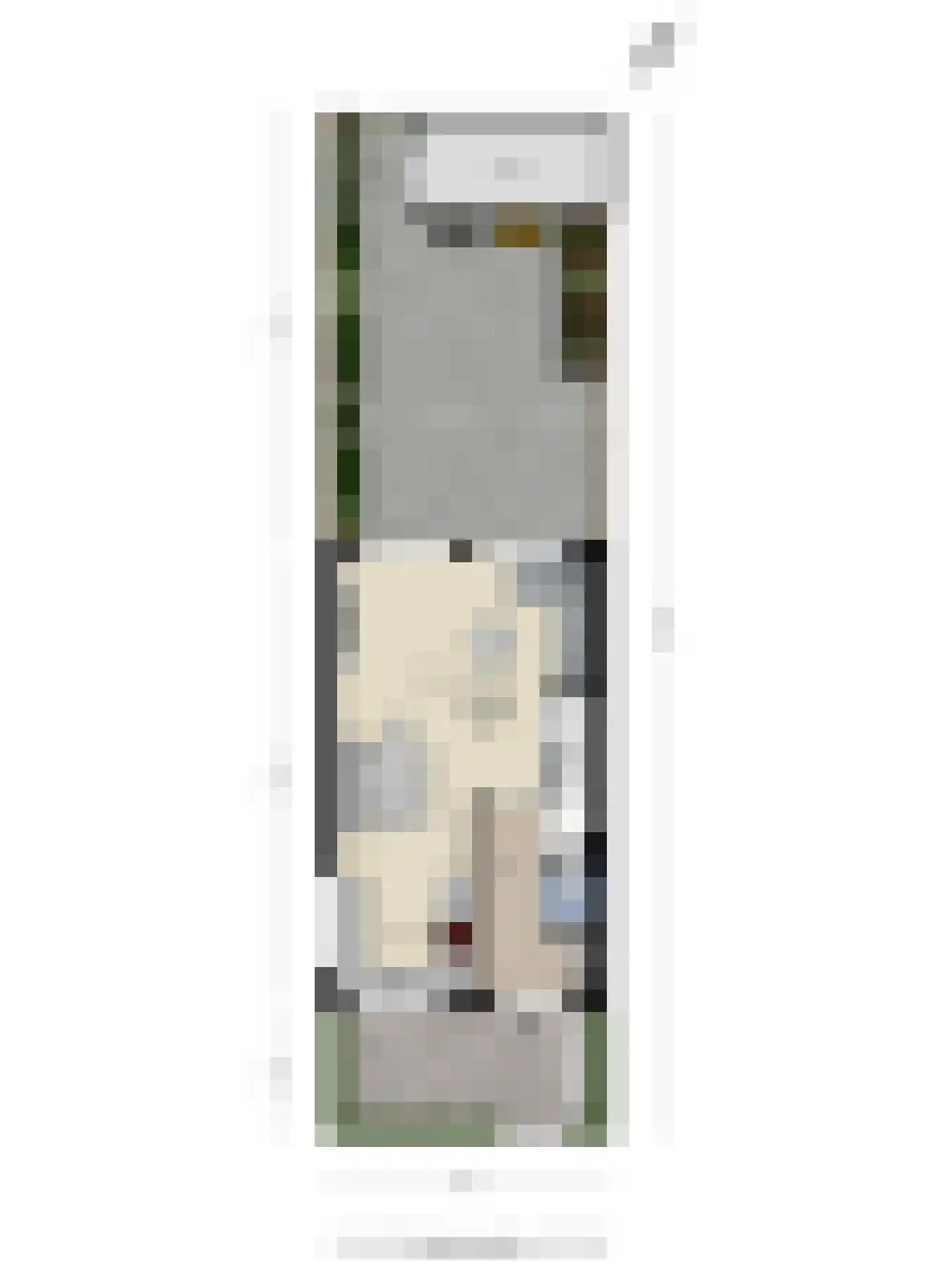 Korenbloemstraat 2 Goes thumbnail 34