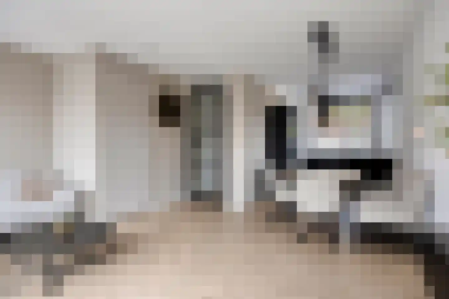 Korenbloemstraat 2 Goes thumbnail 8