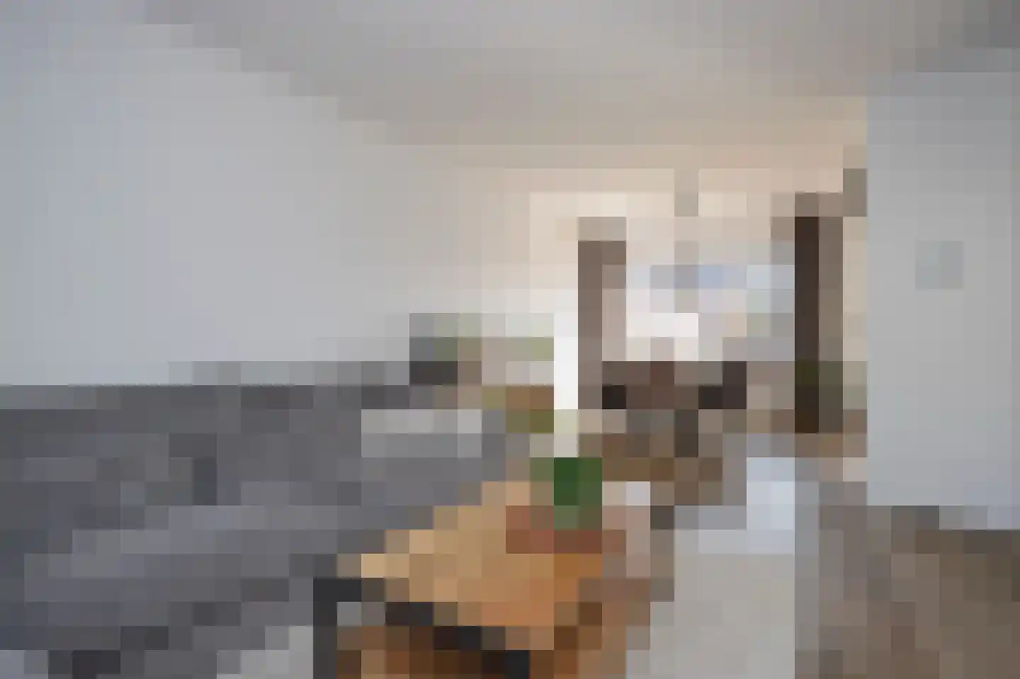 Korenbloemstraat 2 Hoek thumbnail 6