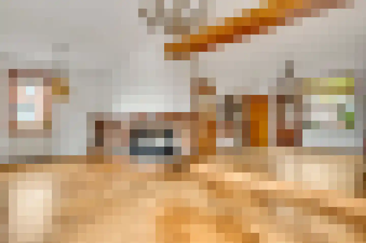 Korenbloemstraat 2 Maasbracht thumbnail 12