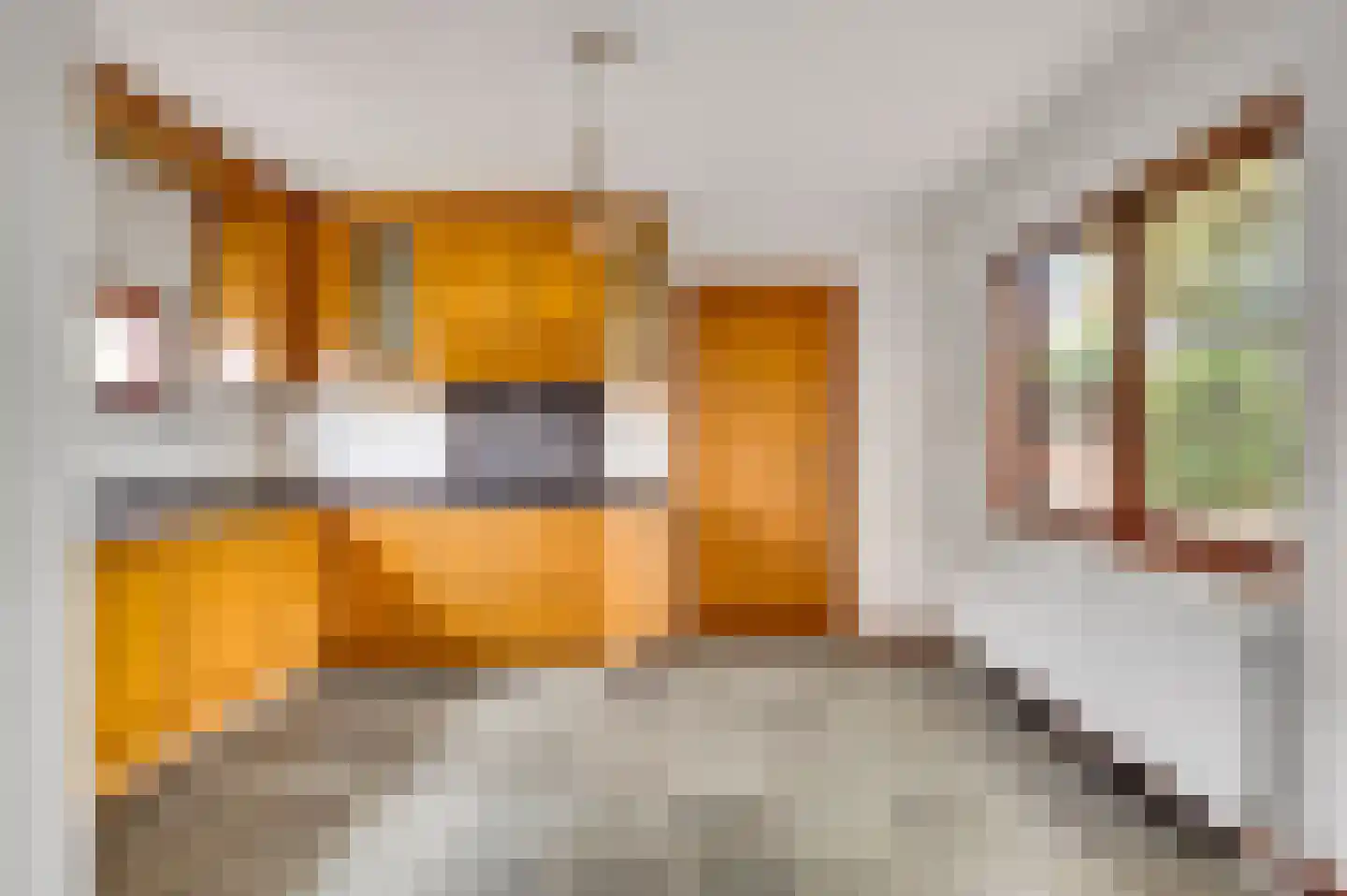 Korenbloemstraat 2 Maasbracht thumbnail 15