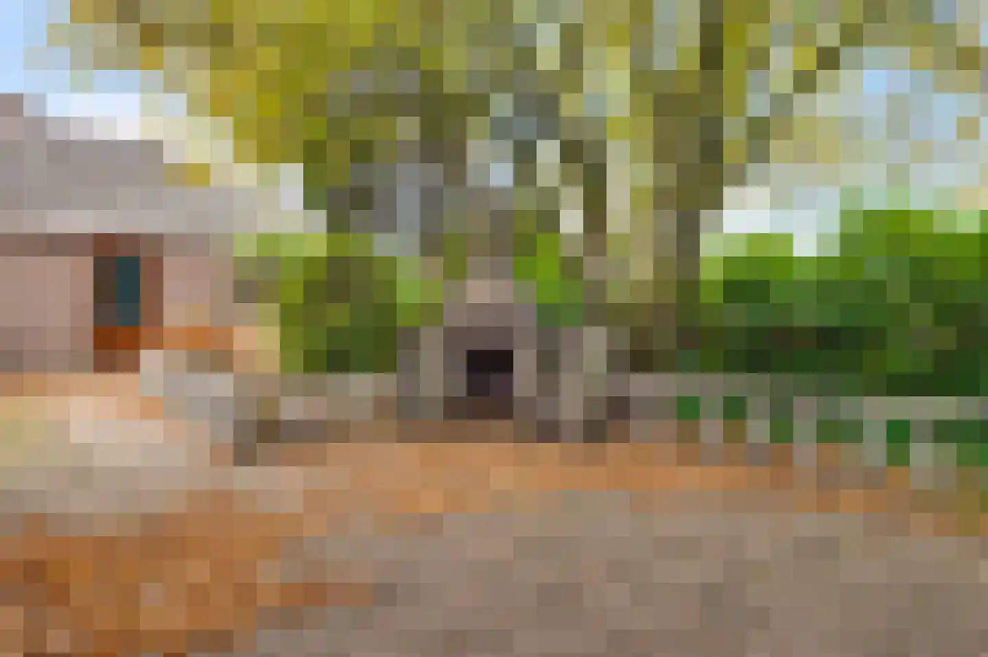 Korenbloemstraat 2 Maasbracht thumbnail 18