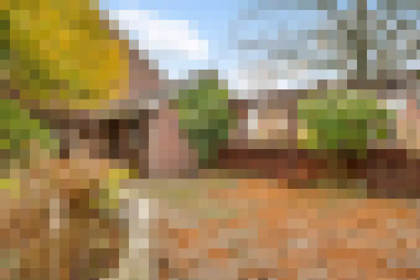 Korenbloemstraat 2 Maasbracht thumbnail 22
