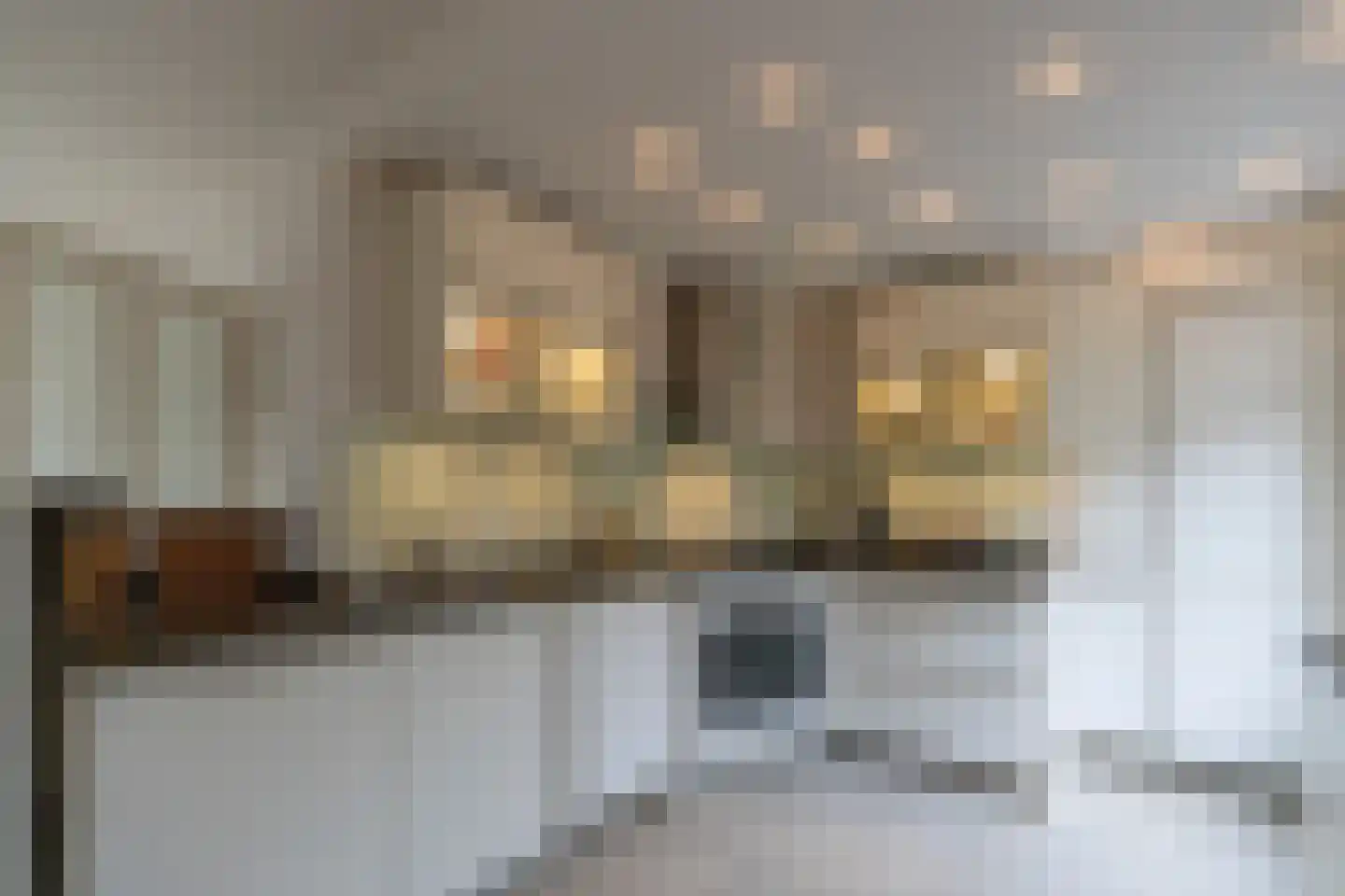 Korenbloemstraat 2 Scharendijke thumbnail 11