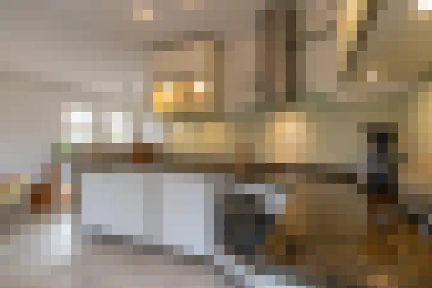 Korenbloemstraat 2 Scharendijke thumbnail 12