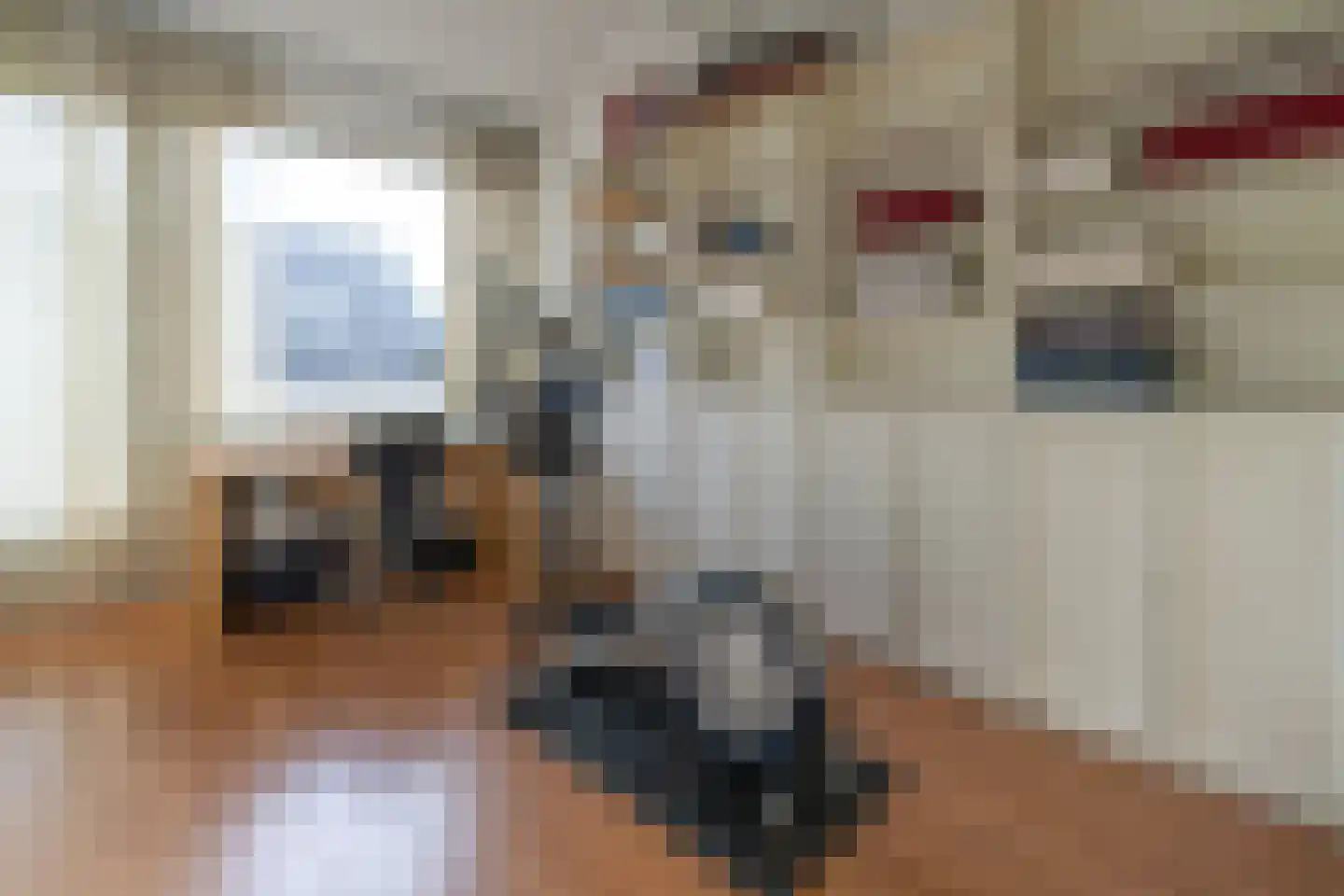 Korenbloemstraat 2 Scharendijke thumbnail 15