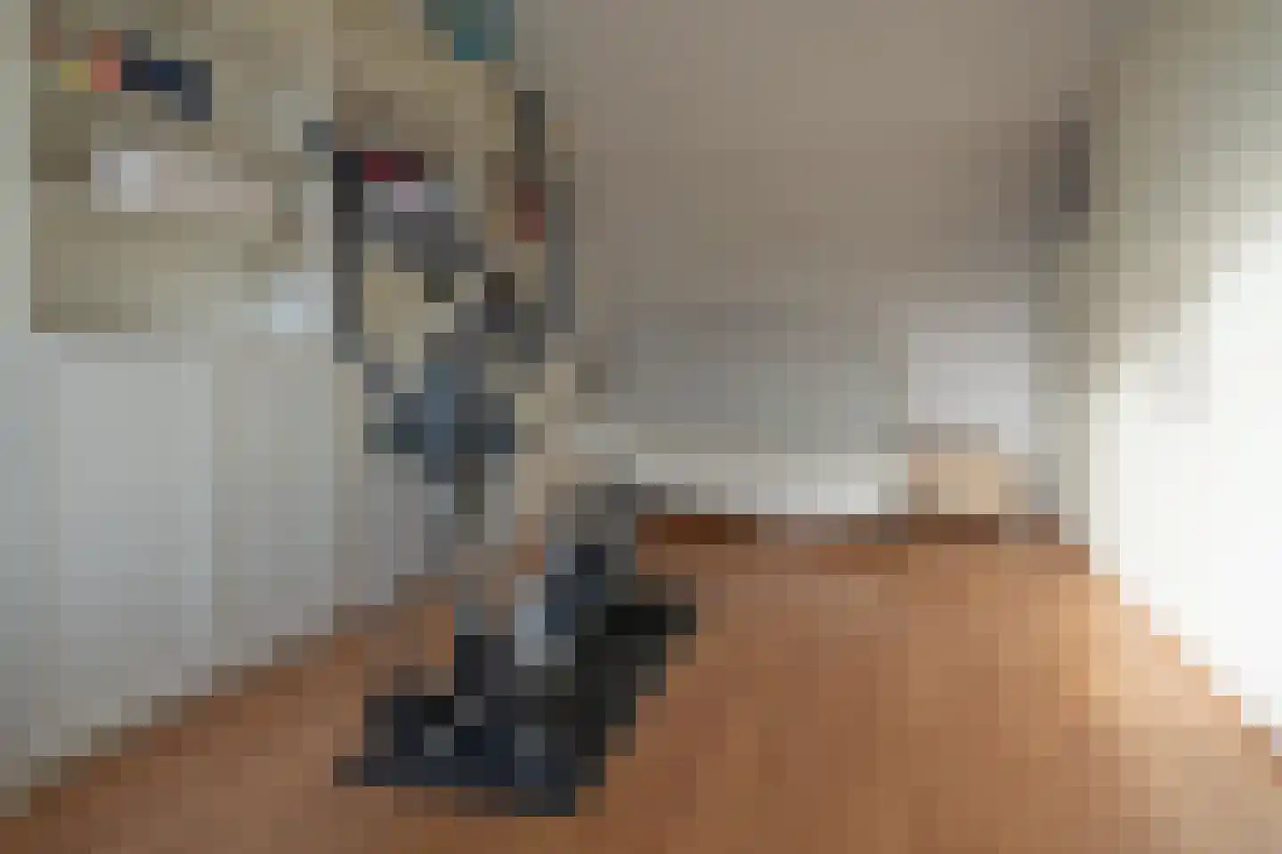 Korenbloemstraat 2 Scharendijke thumbnail 16
