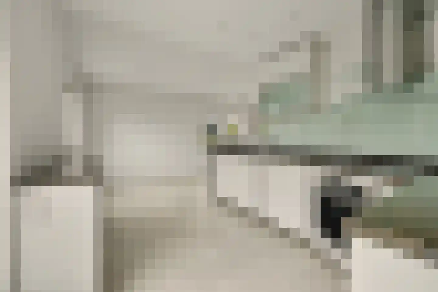 Korenbloemstraat 2 Scharendijke thumbnail 19