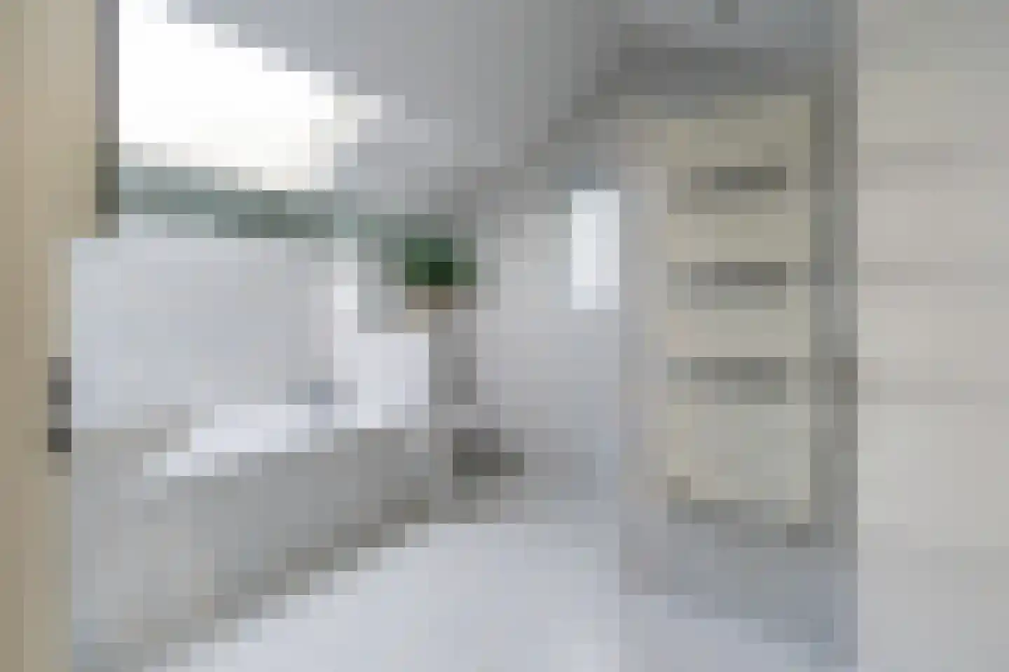 Korenbloemstraat 2 Scharendijke thumbnail 20