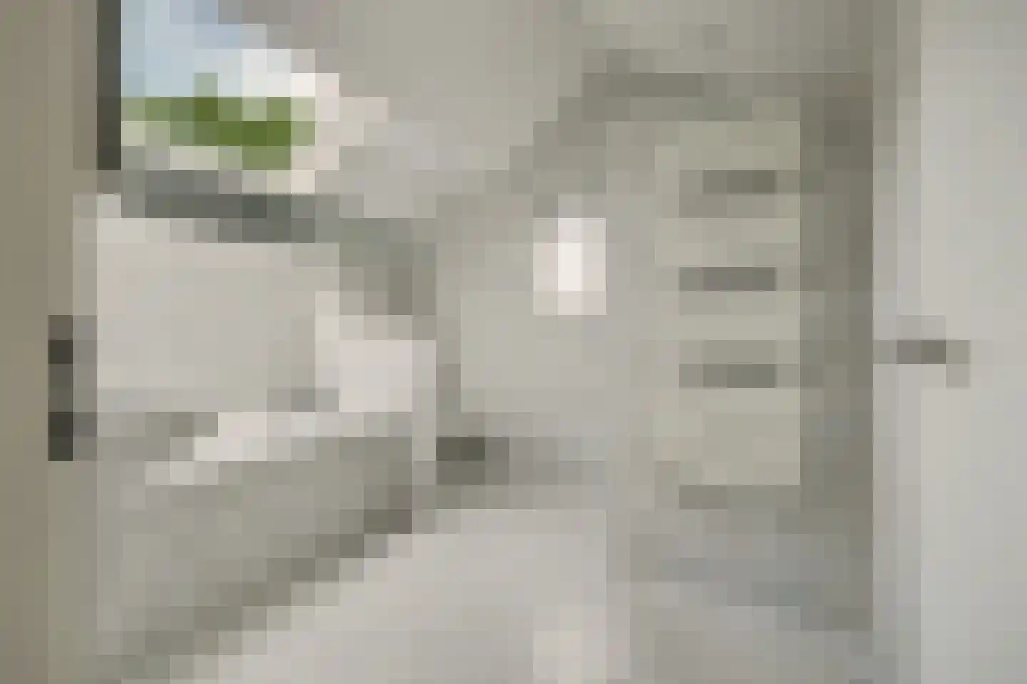 Korenbloemstraat 2 Scharendijke thumbnail 30