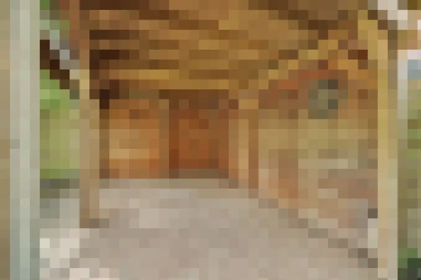 Korenbloemstraat 2 Scharendijke thumbnail 37