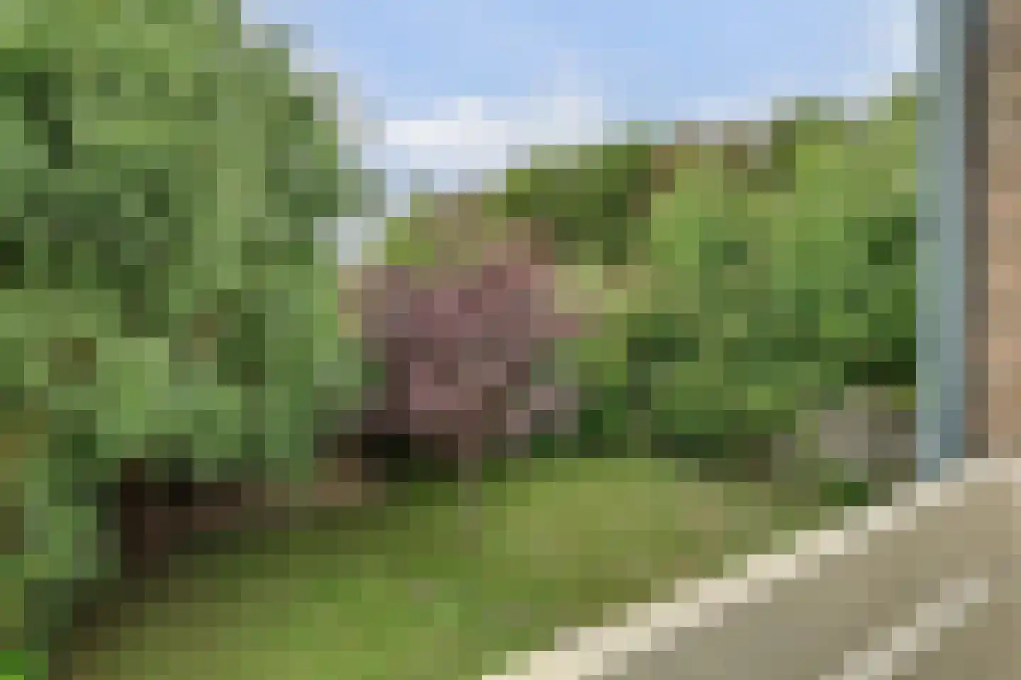 Korenbloemstraat 2 Scharendijke thumbnail 38