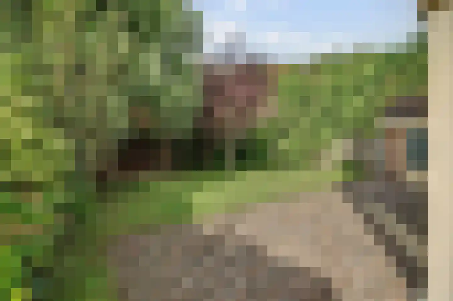 Korenbloemstraat 2 Scharendijke thumbnail 39