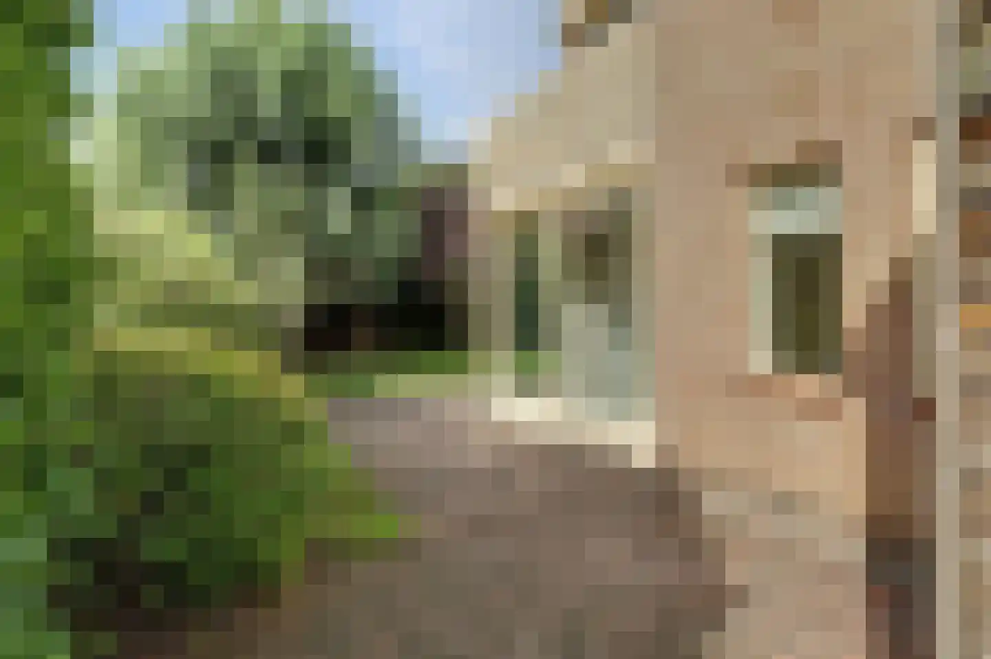 Korenbloemstraat 2 Scharendijke thumbnail 42