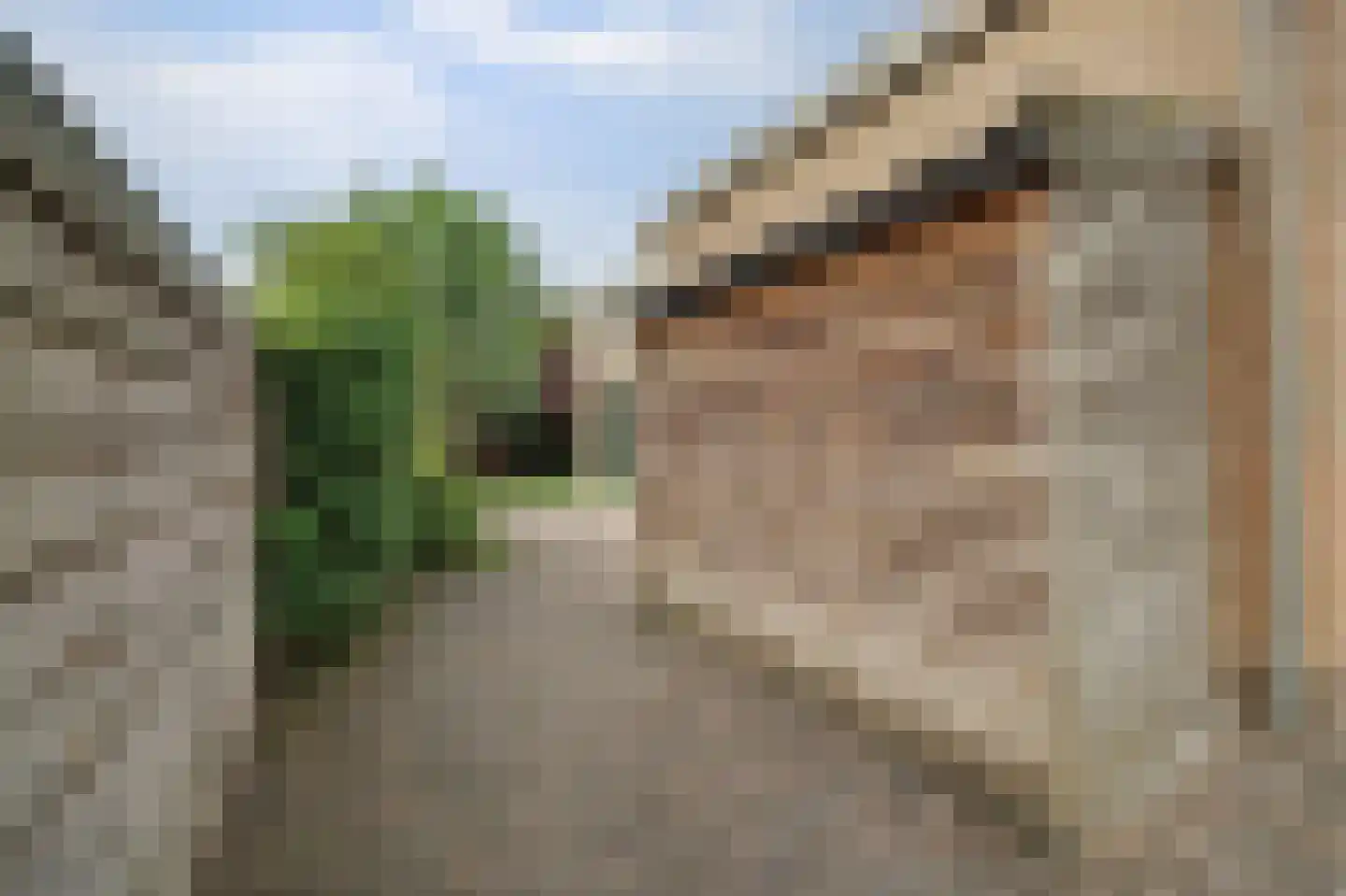 Korenbloemstraat 2 Scharendijke thumbnail 43