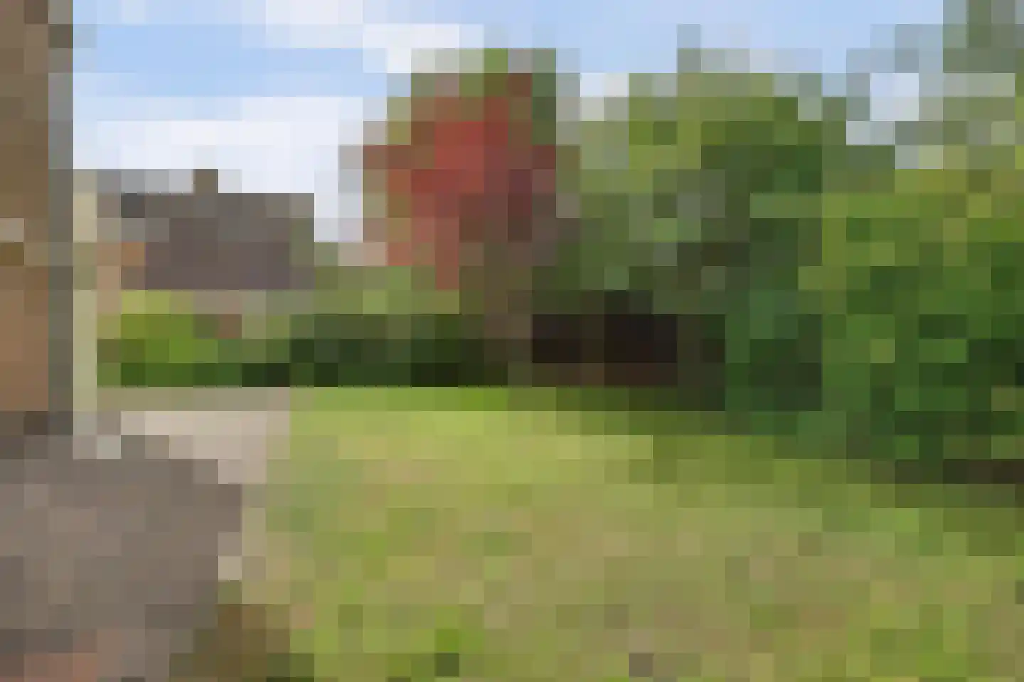 Korenbloemstraat 2 Scharendijke thumbnail 5