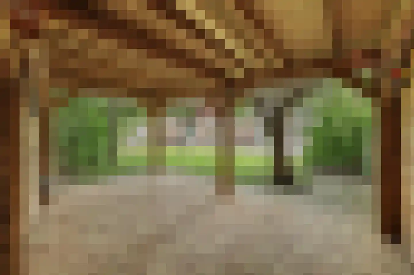 Korenbloemstraat 2 Scharendijke thumbnail 6