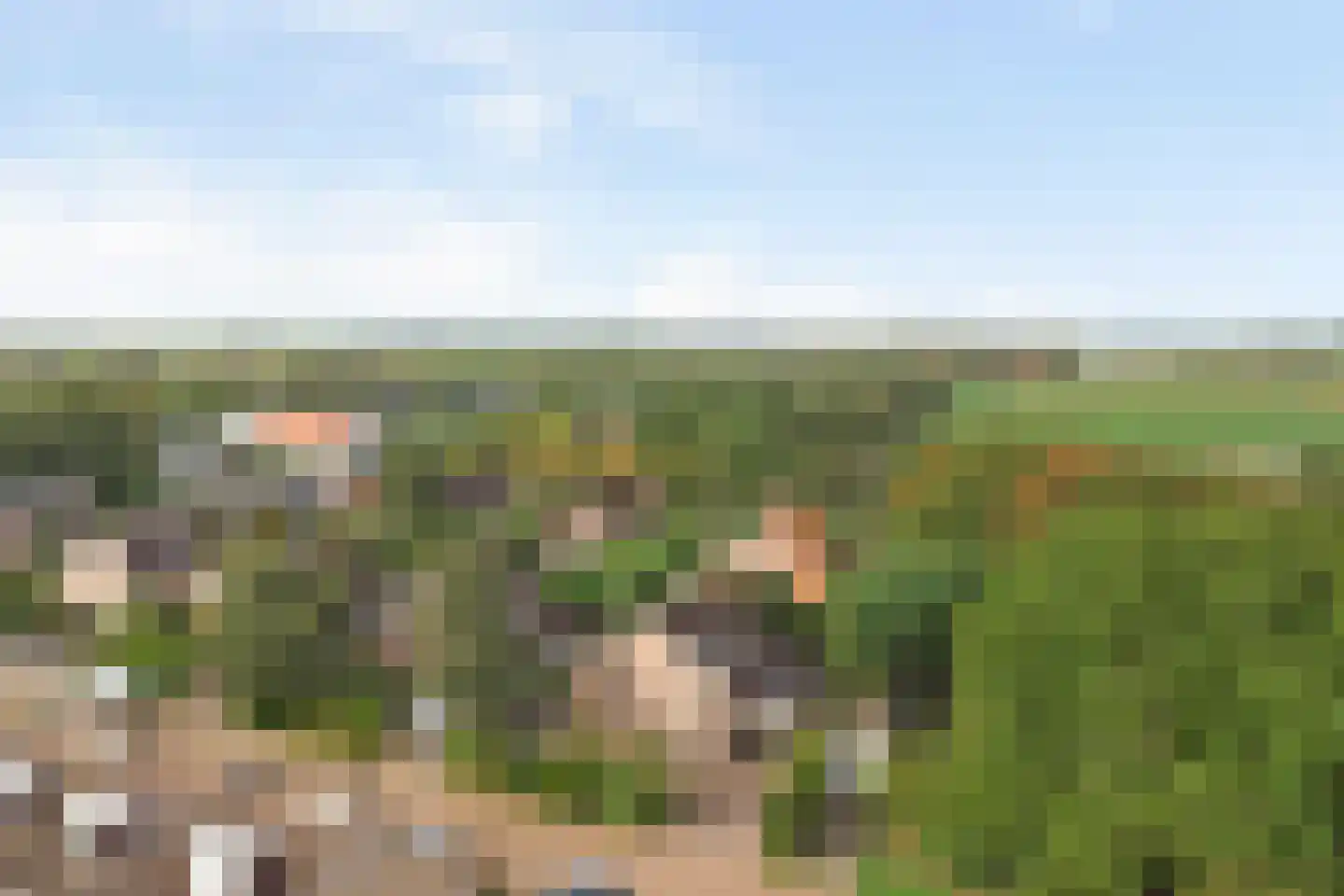 Korenbloemstraat 2 Scharendijke thumbnail 7