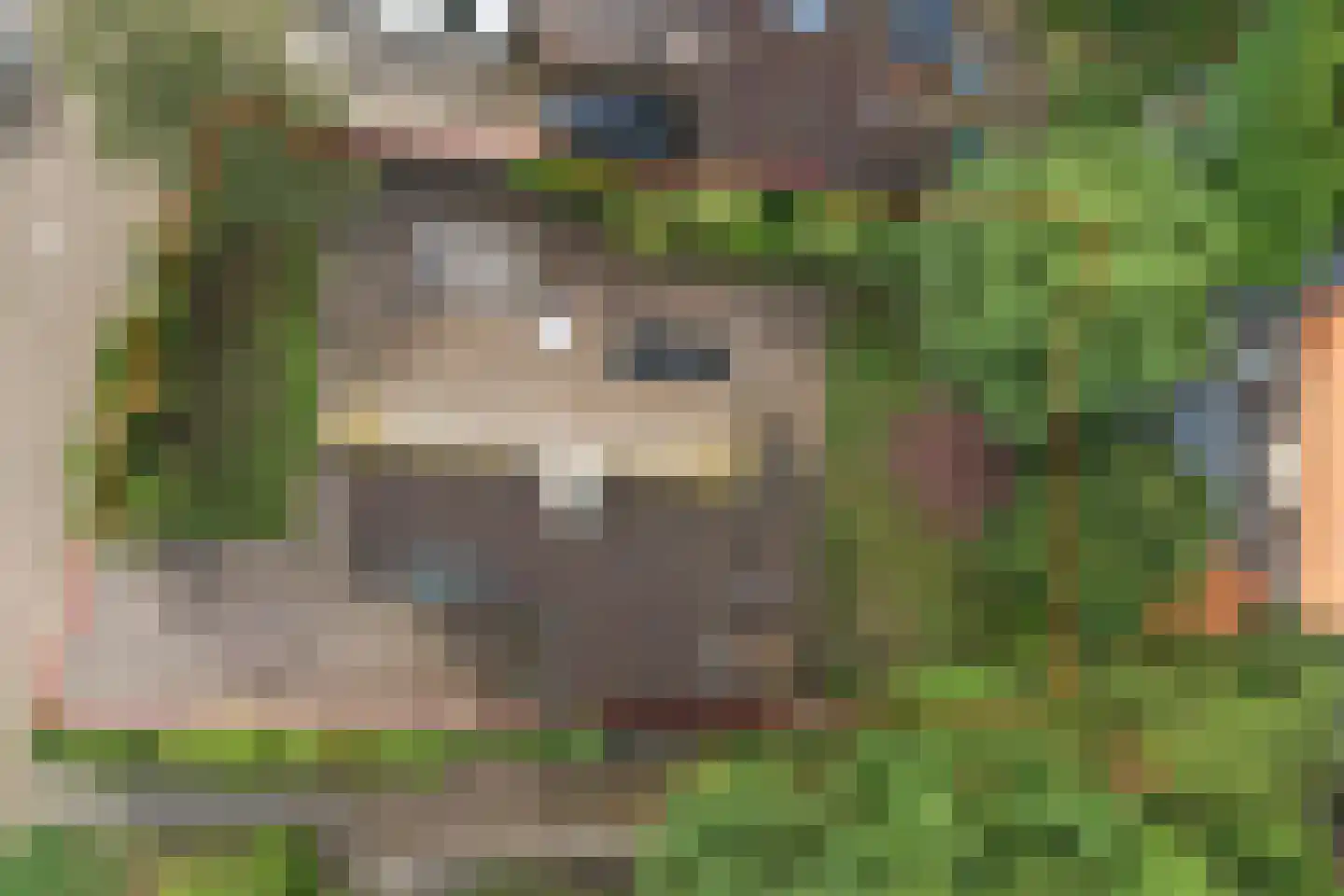 Korenbloemstraat 2 Scharendijke thumbnail 8