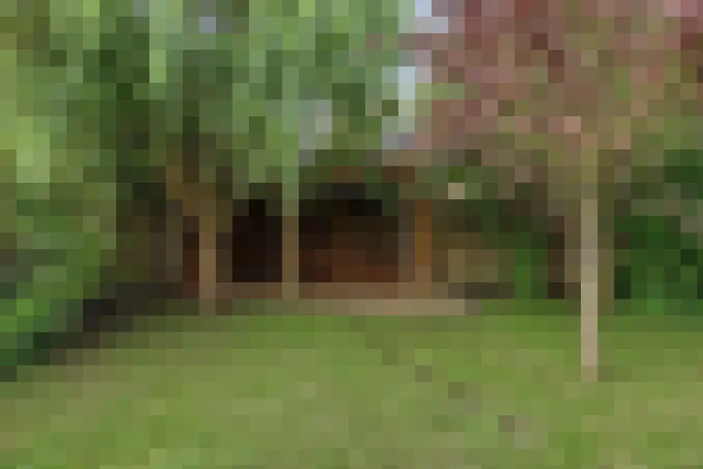 Korenbloemstraat 2 Scharendijke thumbnail 9