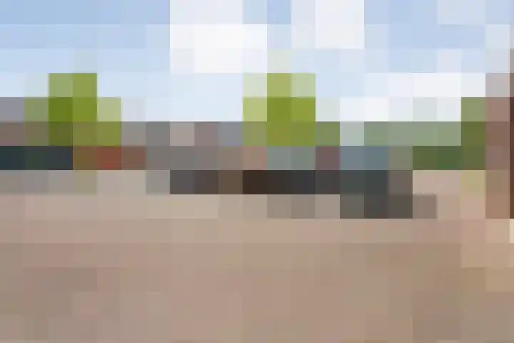Korenbloemstraat 20 Ommen thumbnail 33
