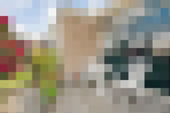 Korenbloemstraat 20 Ommen thumbnail 5
