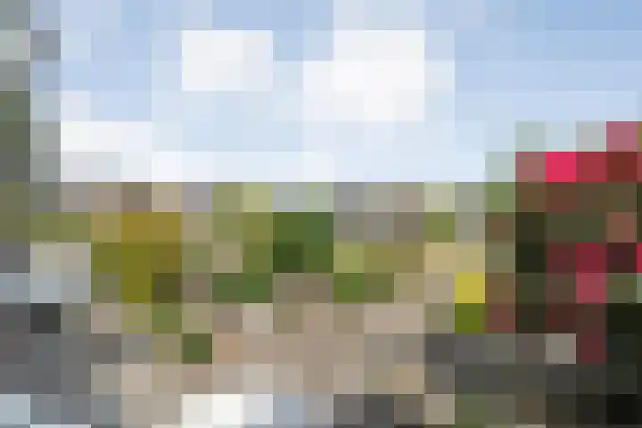 Korenbloemstraat 20 Ommen thumbnail 6